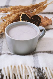婴儿恒温调奶器哪个牌子好无胶水? 婴儿恒温调奶器哪个牌子好无胶水?